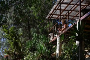 Anna Bruce mountains oax march 2024-146 (1)