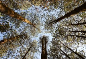 Anna Bruce mountains oax march 2024-151