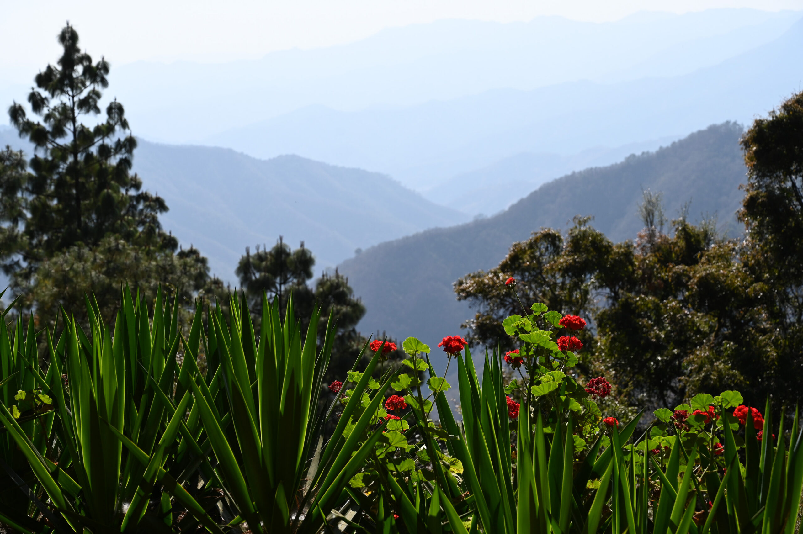 Anna Bruce mountains oax march 2024-191